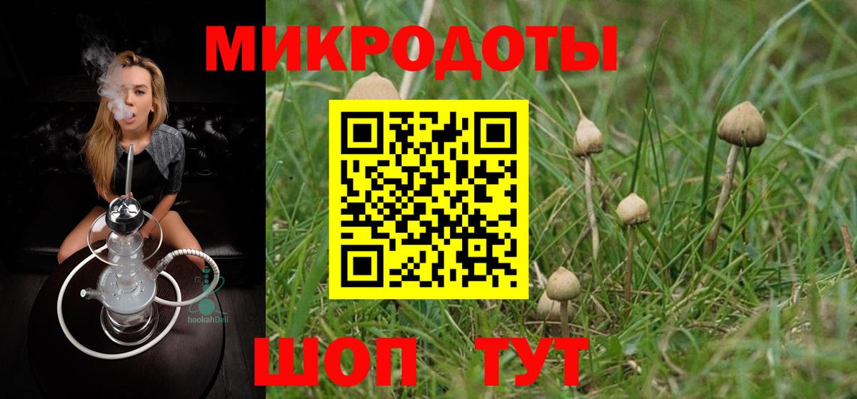 Галлюциногенные грибы GOLDEN TEACHER Новокузнецк