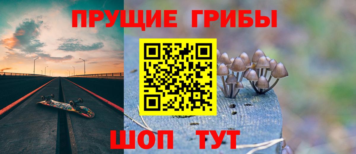 Новокузнецк  Галлюциногенные грибы Psilocybe  закладки  Вход с VPN  Псилоцибиновые грибы MAGIC MUSHROOMS 