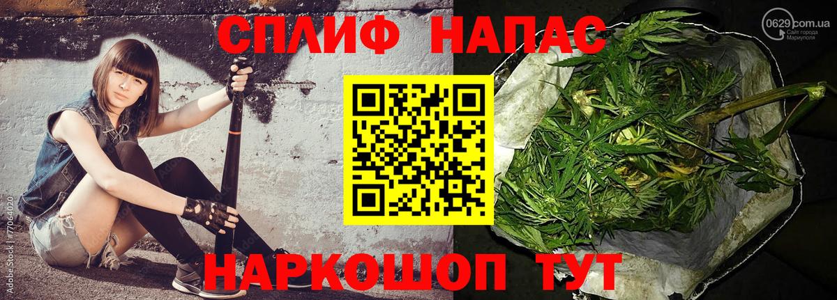 Каннабис сатива Новокузнецк